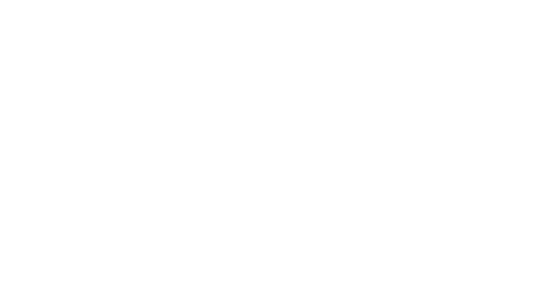 Hitachi Solutions