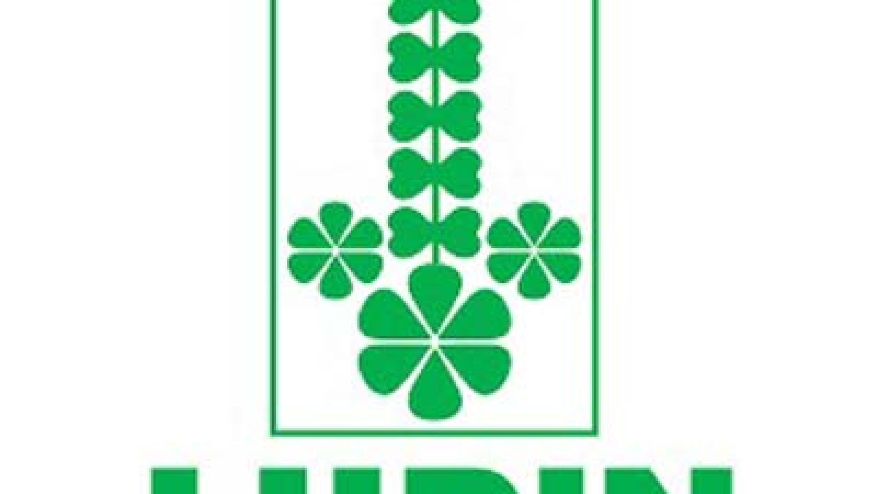 Lupin