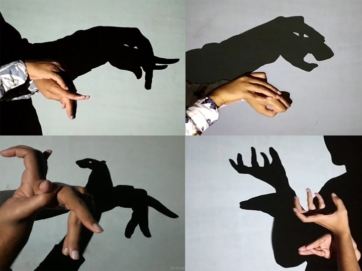 Hand Shadow Art