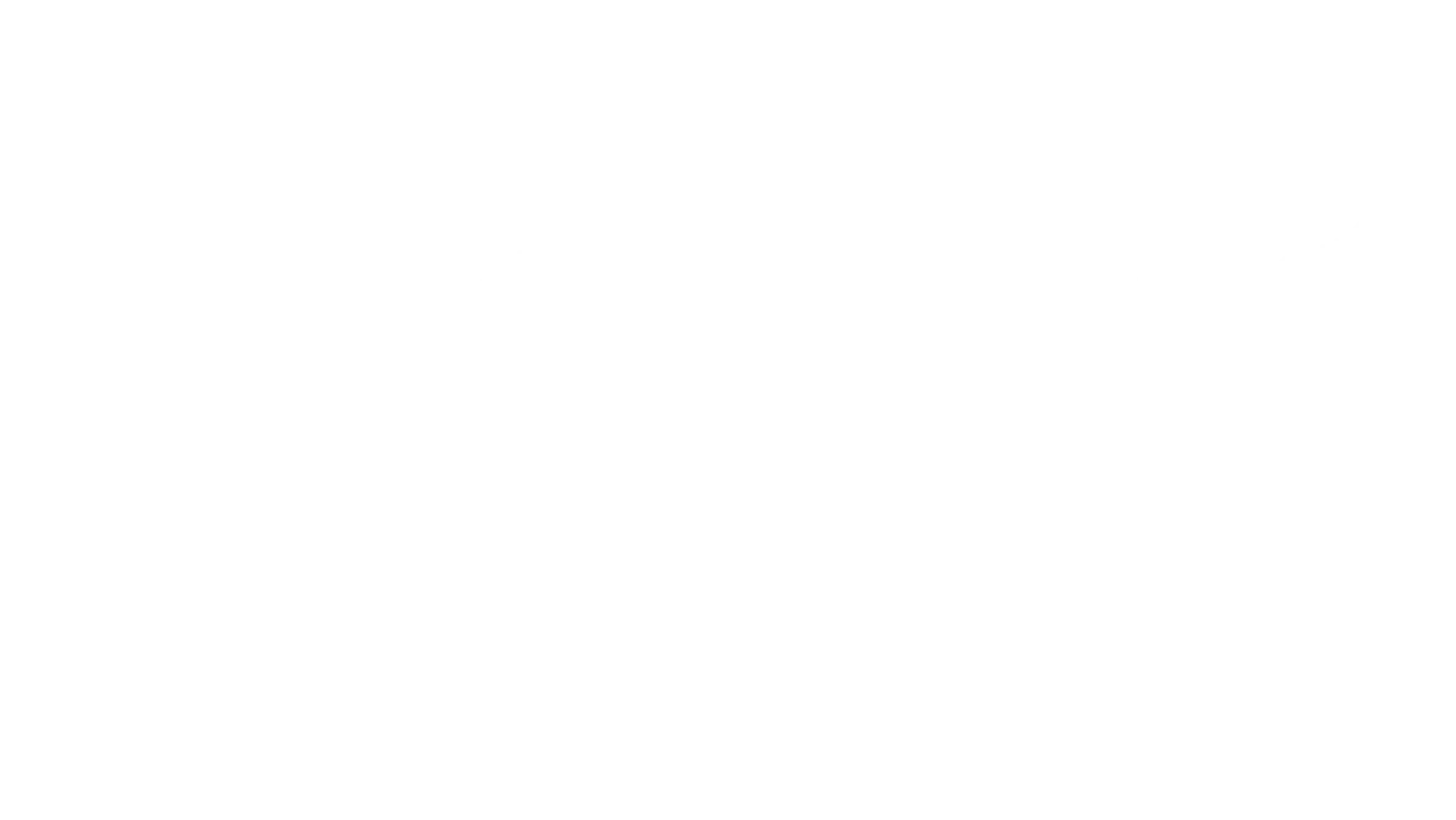 BSE